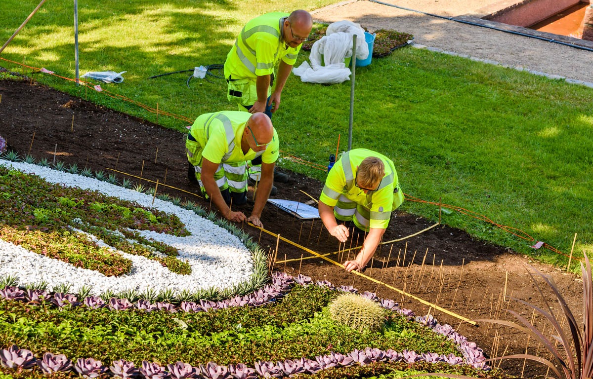Essentiële uitrusting voor je hoveniersbedrijf